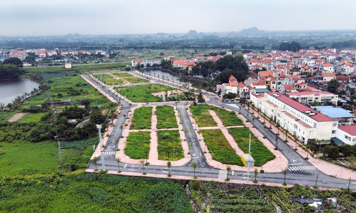 image-1.jpg