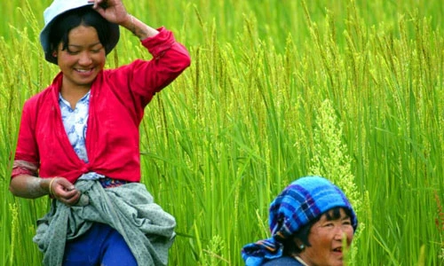 Nền kinh tế nào tăng trưởng nhanh nhất thế giới?