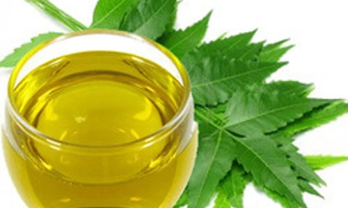 Lợi ích làm đẹp bất ngờ từ tinh dầu lá neem