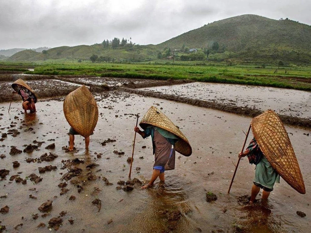 Vùng đất bí ẩn kỳ quái, quanh năm sống chung với mưa