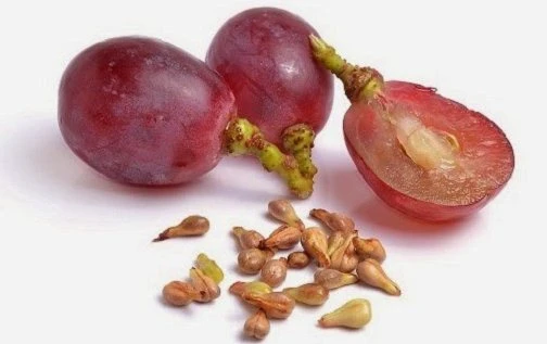 Ăn nho đừng vứt hạt bởi những lợi ích sức khỏe sau
