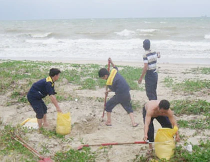Đà Nẵng hối hả phòng chống bão số 11