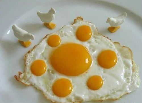 10 sự thật kinh ngạc về quả trứng, chắc chắn không phải ai cũng biết