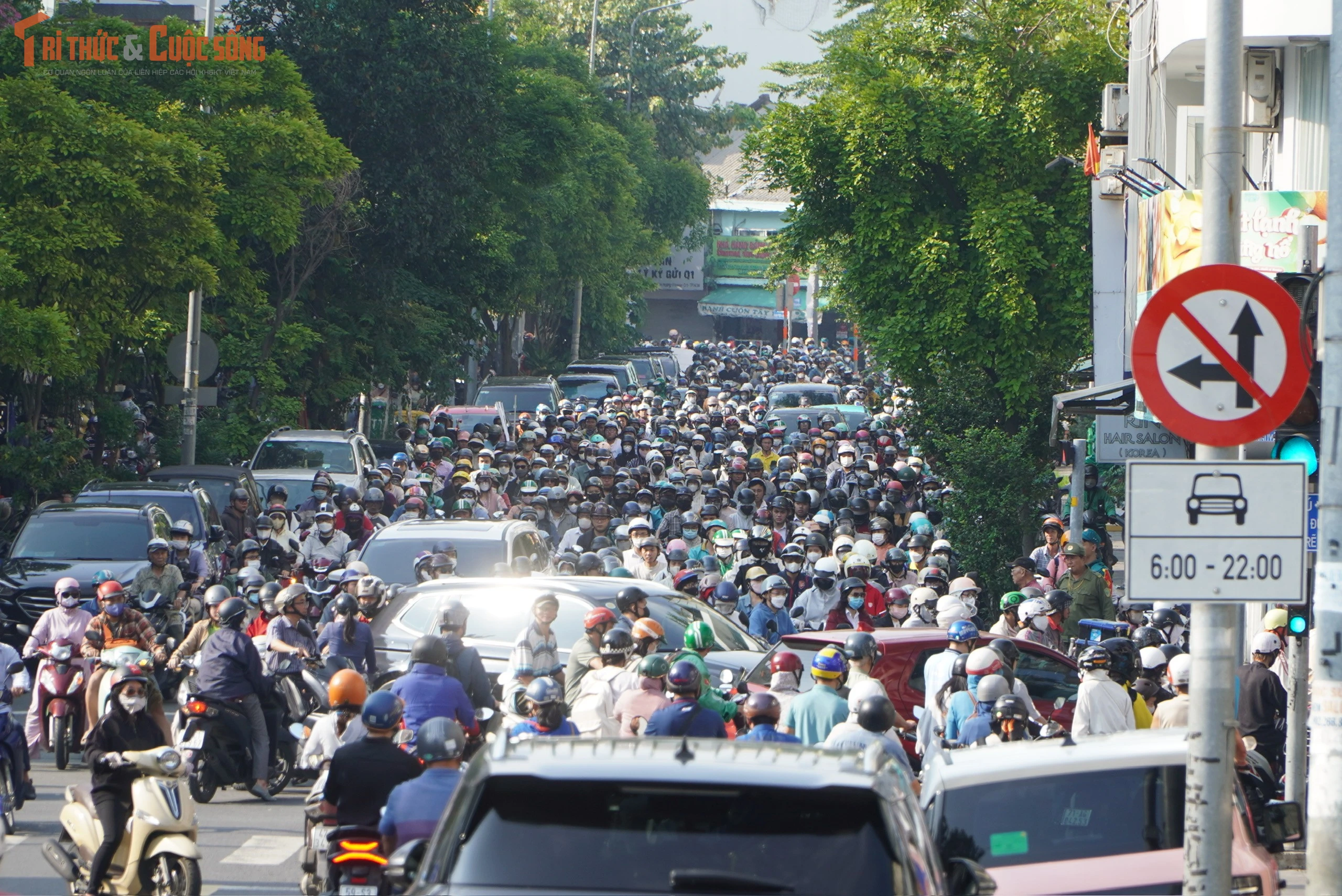 Cây cổ thụ cao hơn 20m bật gốc gây ùn tắc giao thông tại TP HCM