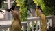 Cựu hot girl Hà Thành khoe bóng lưng trần nuột nà ở tuổi 32