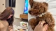 Tranh cãi chuyện cô gái chi 50 triệu đồng tổ chức sinh nhật cho chó cưng