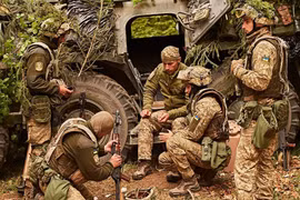 Theo kênh Readovka, RFAF đang trên đà xóa sổ Lữ đoàn tấn công đổ bộ đường không 79 tinh nhuệ của AFU ở phía đông Mirnograd, đồng thời chặn đứng cuộc phản kích từ trung tâm thành phố, do Trung đoàn xung kích độc lập 425 của AFU tiến hành, với ý đồ nhanh chóng giải vây cho Tiểu đoàn 2 của Lữ đoàn 79, vốn đang mắc kẹt.