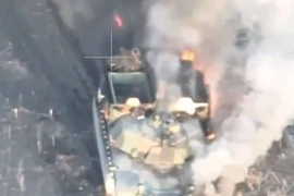 Ukraine tổn thất lớn trong đầu tháng 11, vũ khí hạng nặng tiêu hao kỷ lục