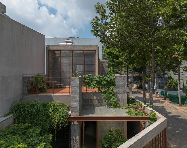 Độc đáo ngôi nhà không sơn trát như một hệ sinh thái nhỏ