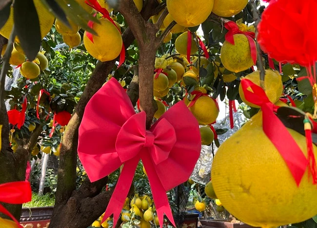 Bưởi diễn miền Bắc thắt nơ đỏ, thơm lừng cả con phố ở TPHCM