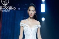 Thí sinh Hoa hậu Hoàn vũ Việt Nam lên tiếng sau khi bỏ thi
