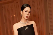 Sở VH&TT tiếp nhận, phối hợp giải quyết vụ phát ngôn của ca sĩ Lệ Quyên