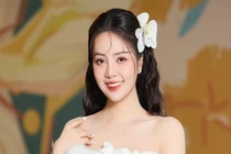 Hôn nhân kín tiếng của Á hậu Thụy Vân