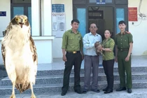 Giao nộp loài chim hoang dã khắc tinh của rắn để thả về tự nhiên