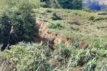 Xuất hiện nhiều vết nứt trên đồi đe dọa 54 hộ đồng bào Xơ Đăng