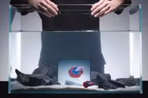 Vivo X Fold 5 điện thoại gập đầu tiên được gắn nhãn siêu bền