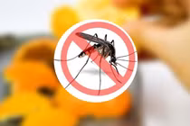 “Sốt” máy đuổi muỗi tích hợp công nghệ mùa mưa