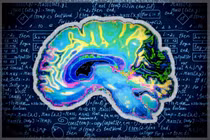 Não người thoái hóa sau nhiều ngày dùng ChatGPT