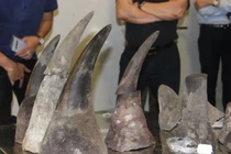 Chu Đăng Khoa bị bắt, hành vi buôn bán động vật hoang dã bị xử lý sao?