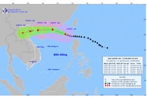 Hải Phòng đình hoãn các cuộc họp chưa cần thiết, ứng phó siêu bão Ragasa