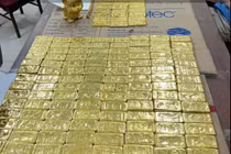 Shark Bình rửa tiền, bố mẹ Mr Pips gửi trăm tỷ, mua 314 lượng vàng đối diện mức án nào?