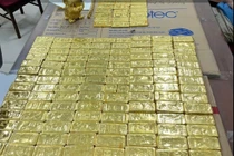 Shark Bình rửa tiền, bố mẹ Mr Pips gửi trăm tỷ, mua 314 lượng vàng đối diện mức án nào?