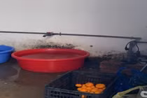 Phát hiện vi phạm của Công ty Nhật Anh trong cung cấp suất ăn bán trú