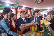 Khai mạc Tuần Văn hóa, Du lịch Lễ hội Xuân Côn Sơn – Kiếp Bạc 2026