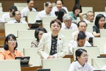 "Thanh tra đi đến đâu, hàng hóa lại bị giấu"
