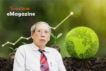 Đất nước vươn mình...phải phát triển xanh