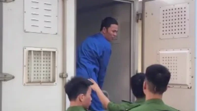 Bán gà lôi trắng lãnh 6 năm tù – luật sư bào chữa phiên sơ thẩm nói gì?