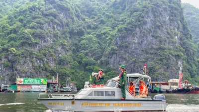 Hải Phòng sẵn sàng ứng phó diễn biến bão WIPHA
