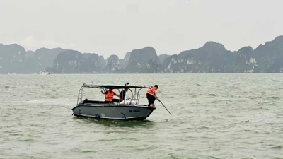 Lật tàu Vịnh Xanh 58: Phát hiện thêm thi thể nạn nhân