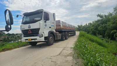 Xe container chở gạch vẫn lưu thông trên đê sông Thái Bình báo động 1