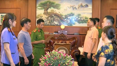 Hai hành vi vi phạm nghiêm trọng của “Bầu Đoan”