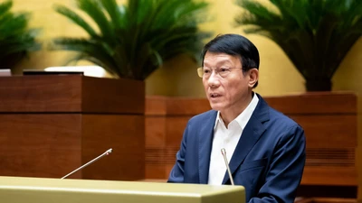 Đề xuất mới thủ tục bắt người khẩn cấp để dẫn độ