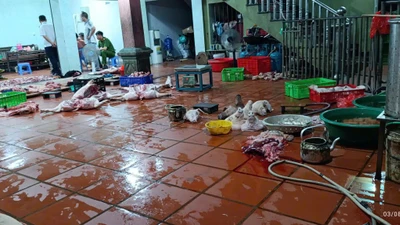 Hưng Yên phát hiện cơ sở giết mổ lợn nhiễm tả lợn Châu Phi số lượng lớn