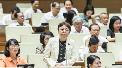 “Thanh tra đi đến đâu, hàng hóa cũng giấu hết”