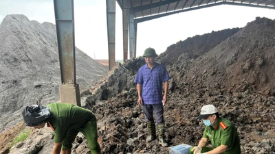 Bắt Giám đốc Công ty Tân Thuận Phong vì gây ô nhiễm môi trường