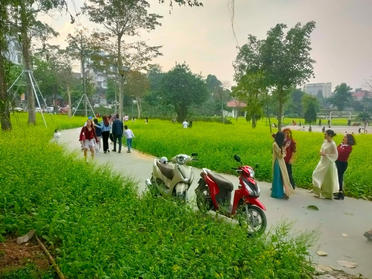 Từ sáng sớm, nhiều gia đình, nhóm bạn trẻ và du khách đã đổ về đây để du xuân, lưu lại những khoảnh khắc đầu năm. Tiếng cười nói rộn ràng, những tà áo dài nhiều màu sắc nổi bật giữa cánh đồng hoa khiến không gian công viên thêm phần sinh động, ấm áp.