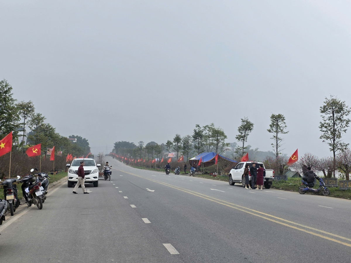 Một chủ vườn làng đào Nhà Nít chia sẻ, lượng người tìm mua hoa đào bắt đầu nhiều hơn từ khoảng một tuần trở lại đây. Khách hàng thường đến vào những ngày cuối tuần, ngày nghỉ với những gốc đào cỡ trung bình, nhỏ trưng bày trong gia đình.