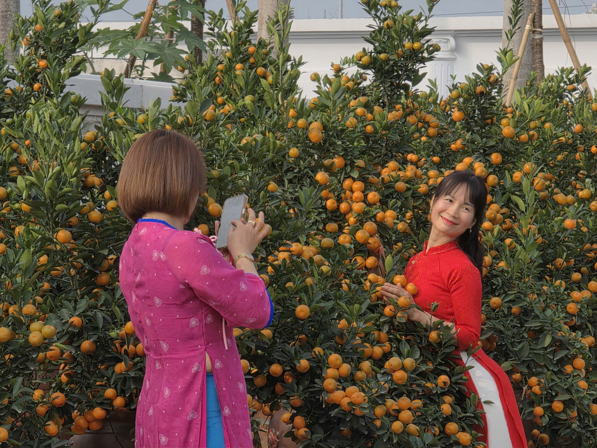 Thỏa sức tạo dáng bên những cây cảnh Tết cực đẹp mà lại không phải trả phí...