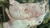 Đi tìm thịt lợn an toàn sau 'lùm xùm' của Cty C.P. Việt Nam