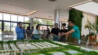 Làm gì để chặn môi giới bất động sản 'lùa gà' khách hàng? 
