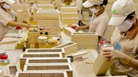 Luật Thuế GTGT vừa có hiệu lực đã lỗi thời, doanh nghiệp kiến nghị sửa 