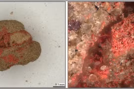 Khai quật mộ cổ Scythia 1.900 năm tuổi, phát hiện thứ không ngờ