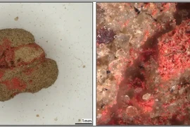 Khai quật mộ cổ Scythia 1.900 năm tuổi, phát hiện thứ không ngờ