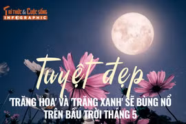 [INFOGRAPHIC] Tuyệt đẹp 'Trăng Hoa' và 'Trăng Xanh' sẽ xuất hiện vào tháng 5