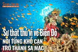 [INFOGRAPHIC] Sự thật thú vị về Biển Đỏ - nơi từng khô cạn trở thành sa mạc