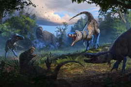 Hóa thạch 'khủng long bạo chúa' hóa ra là loài không ngờ